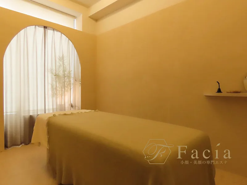 Facia Ginza
