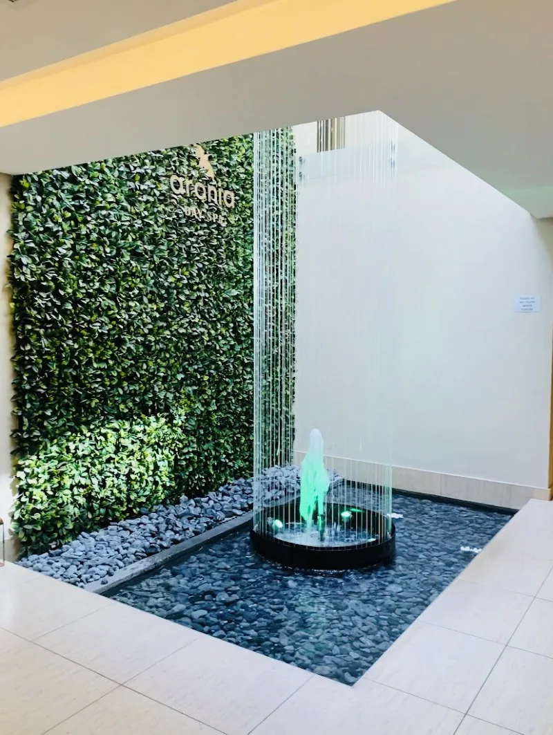 Aronia Day Spa