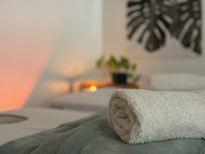 Renueva Kinesiologia y Bienestar/Recoleta