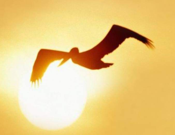 Ressources Santé SRL