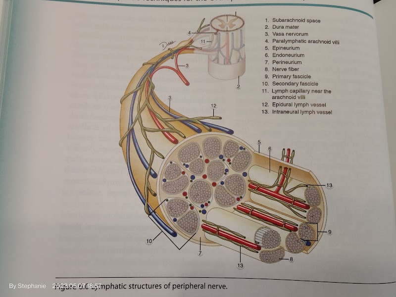 Abliss Therapy Center