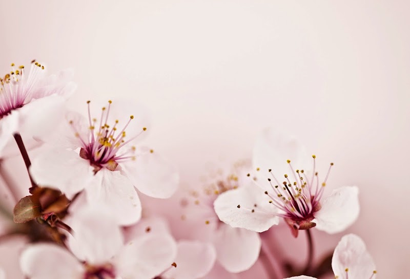 GENKI – Beauty & Massage