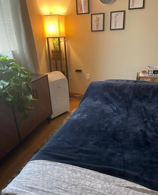 Ballard Massage CBD Cupping Intraoral Massage Lymphatic Drainage| Lisa Sackie